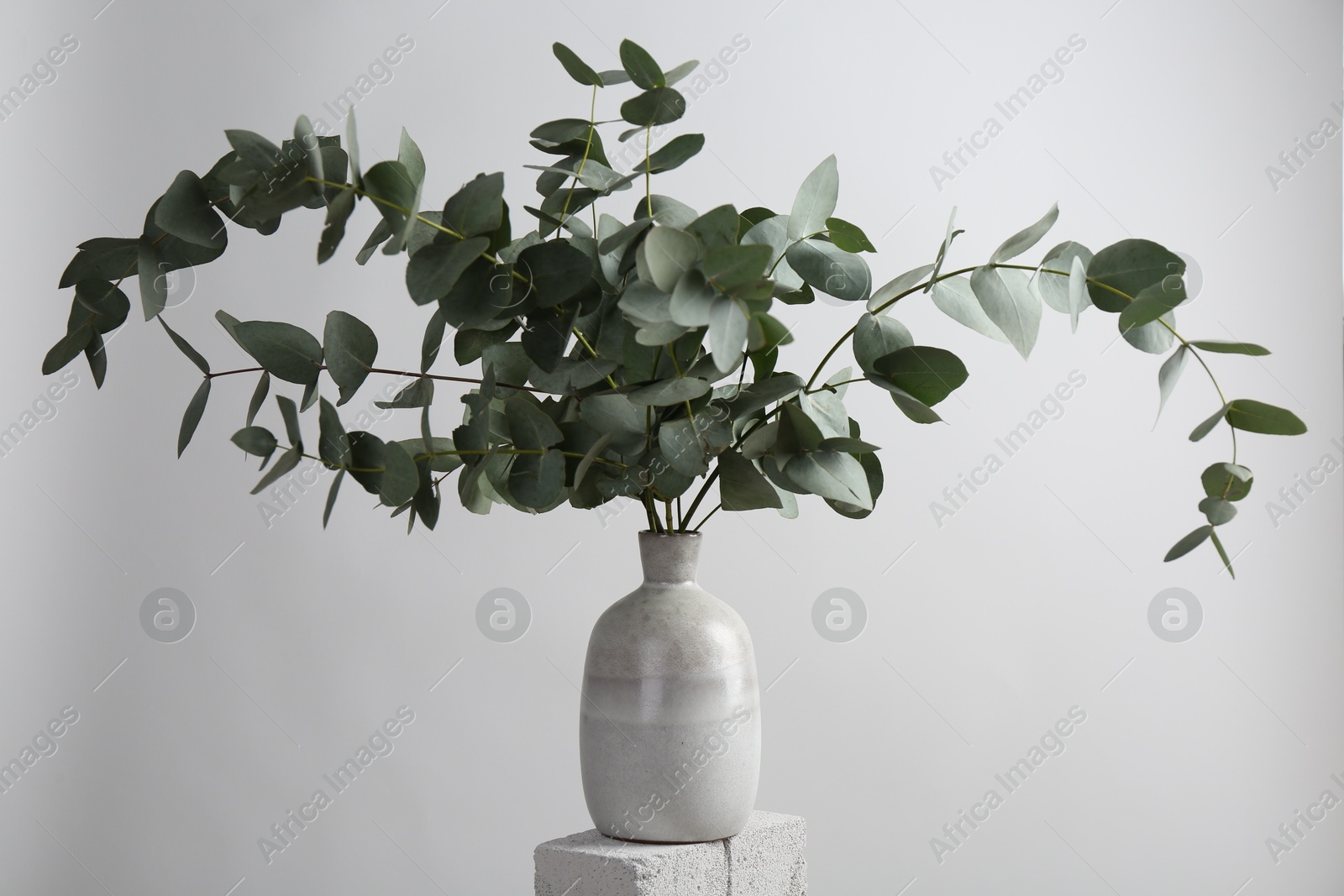 Green eucalyptus branches in vase on stone against light background Photo of Green eucalyptus branches in vase on stone against light background