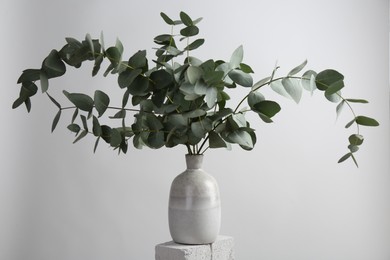 Photo of Green eucalyptus branches in vase on stone against light background