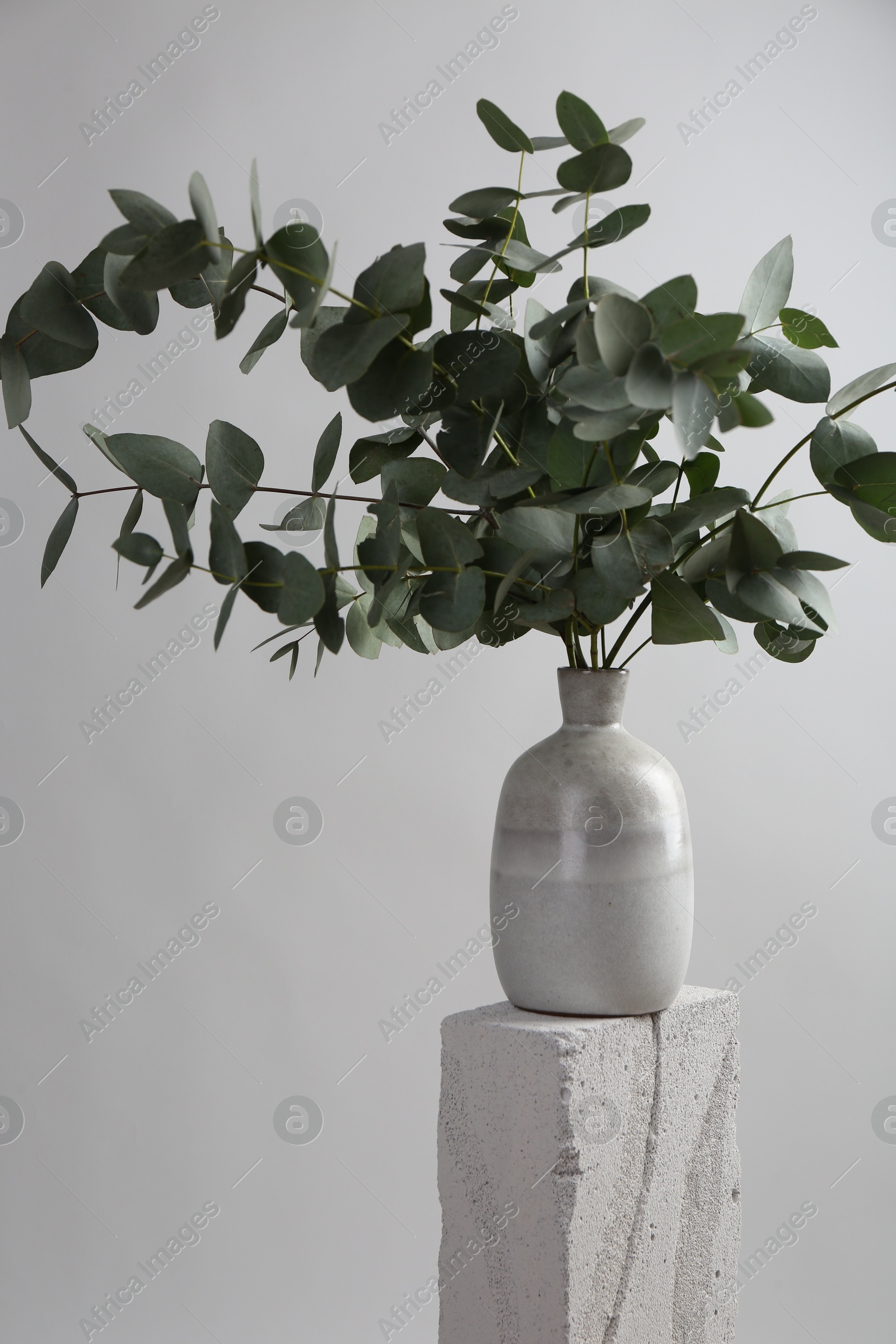 Green eucalyptus branches in vase on stone against light background Photo of Green eucalyptus branches in vase on stone against light background