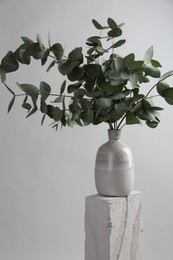 Photo of Green eucalyptus branches in vase on stone against light background