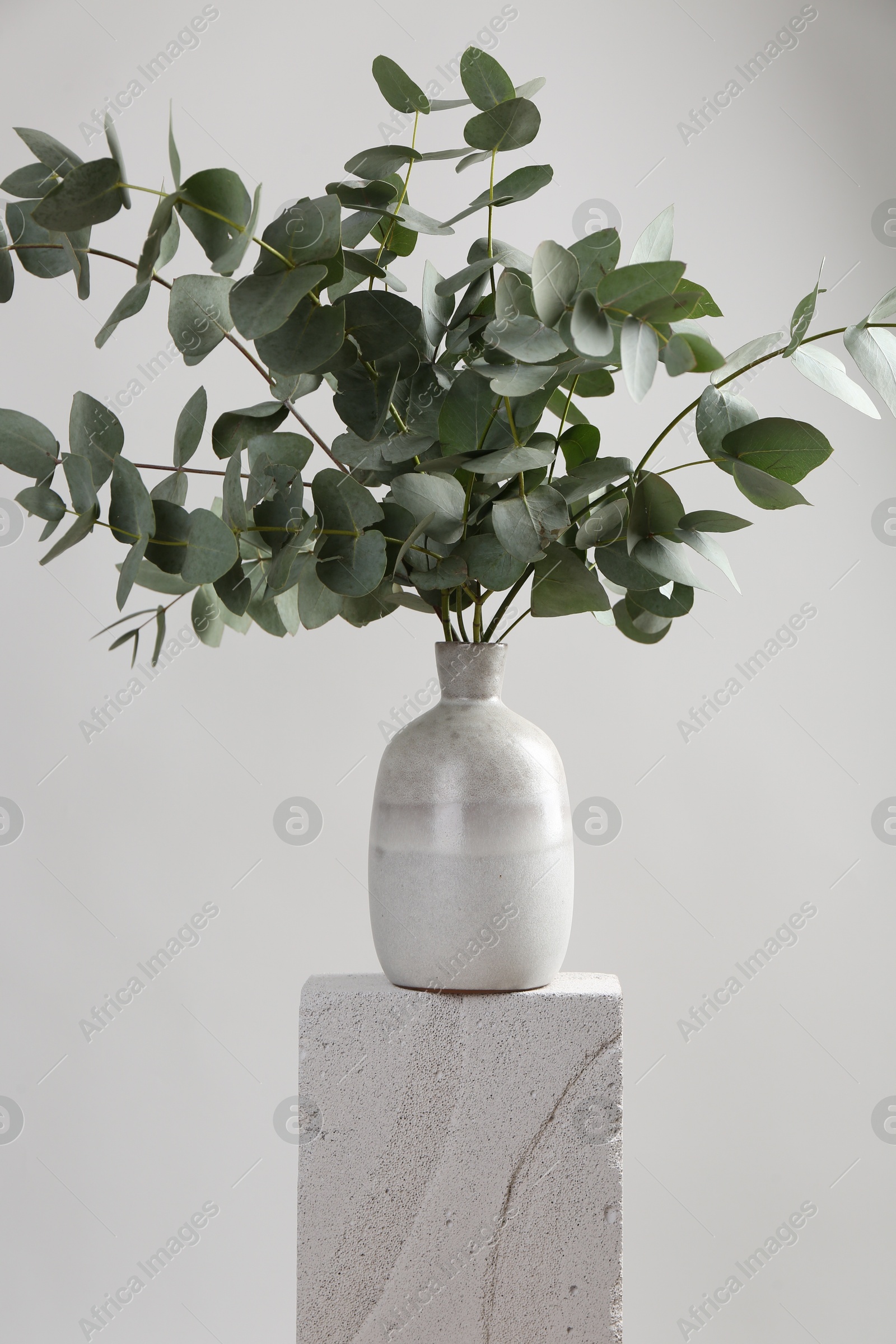 Green eucalyptus branches in vase on stone against light background Photo of Green eucalyptus branches in vase on stone against light background
