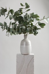 Photo of Green eucalyptus branches in vase on stone against light background