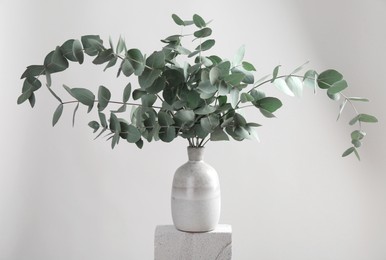 Photo of Green eucalyptus branches in vase on stone against light background