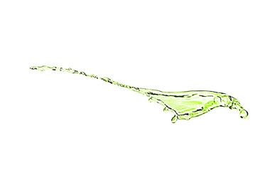 Image of Splash of green water in air on white background