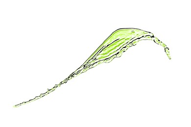 Image of Splash of green water in air on white background