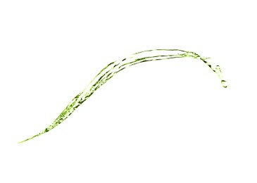 Image of Splash of green water in air on white background