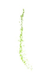 Image of Splash of green water in air on white background