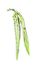 Image of Splash of green water in air on white background