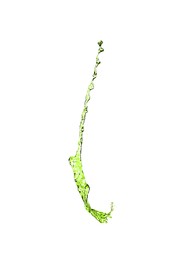 Image of Splash of green water in air on white background