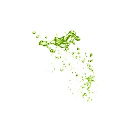 Image of Splash of green water in air on white background