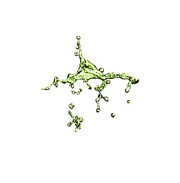Image of Splash of green water in air on white background