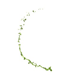 Image of Splash of green water in air on white background