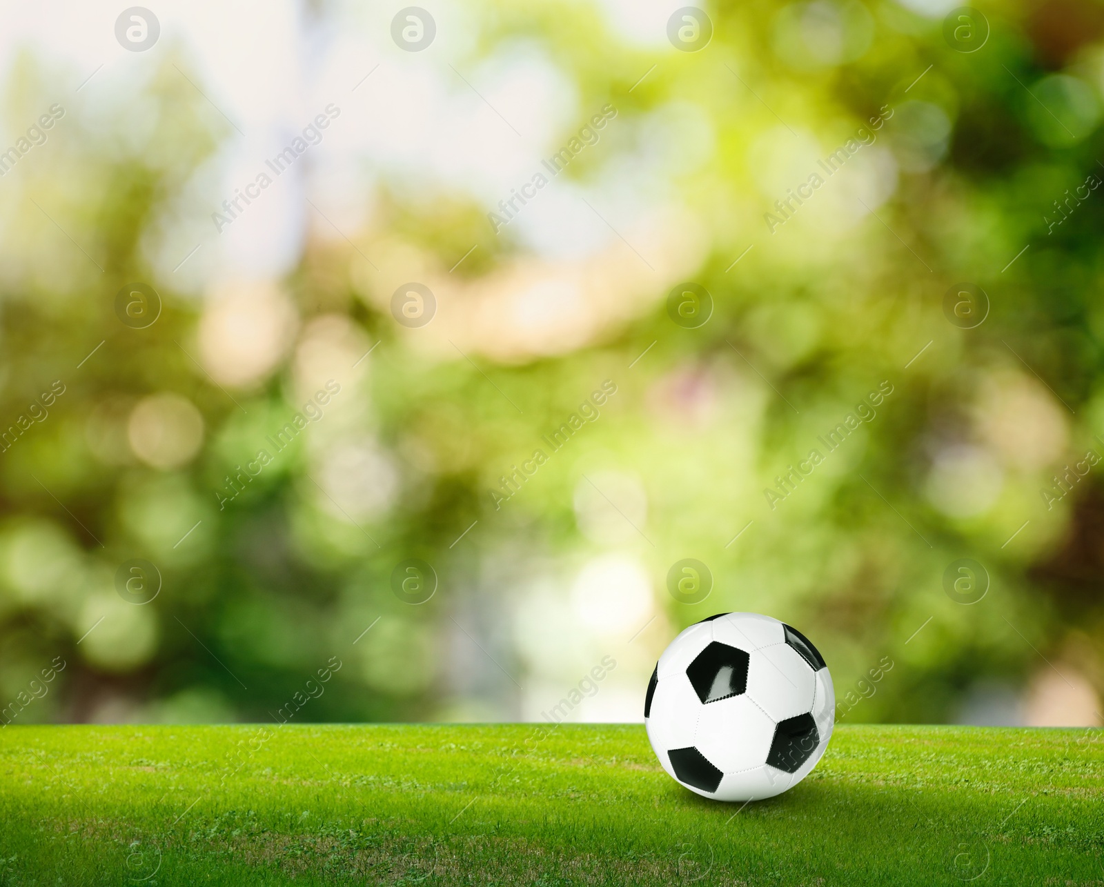 Soccer ball on green grass outdoors, space for text. Football game Image of Soccer ball on green grass outdoors, space for text. Football game