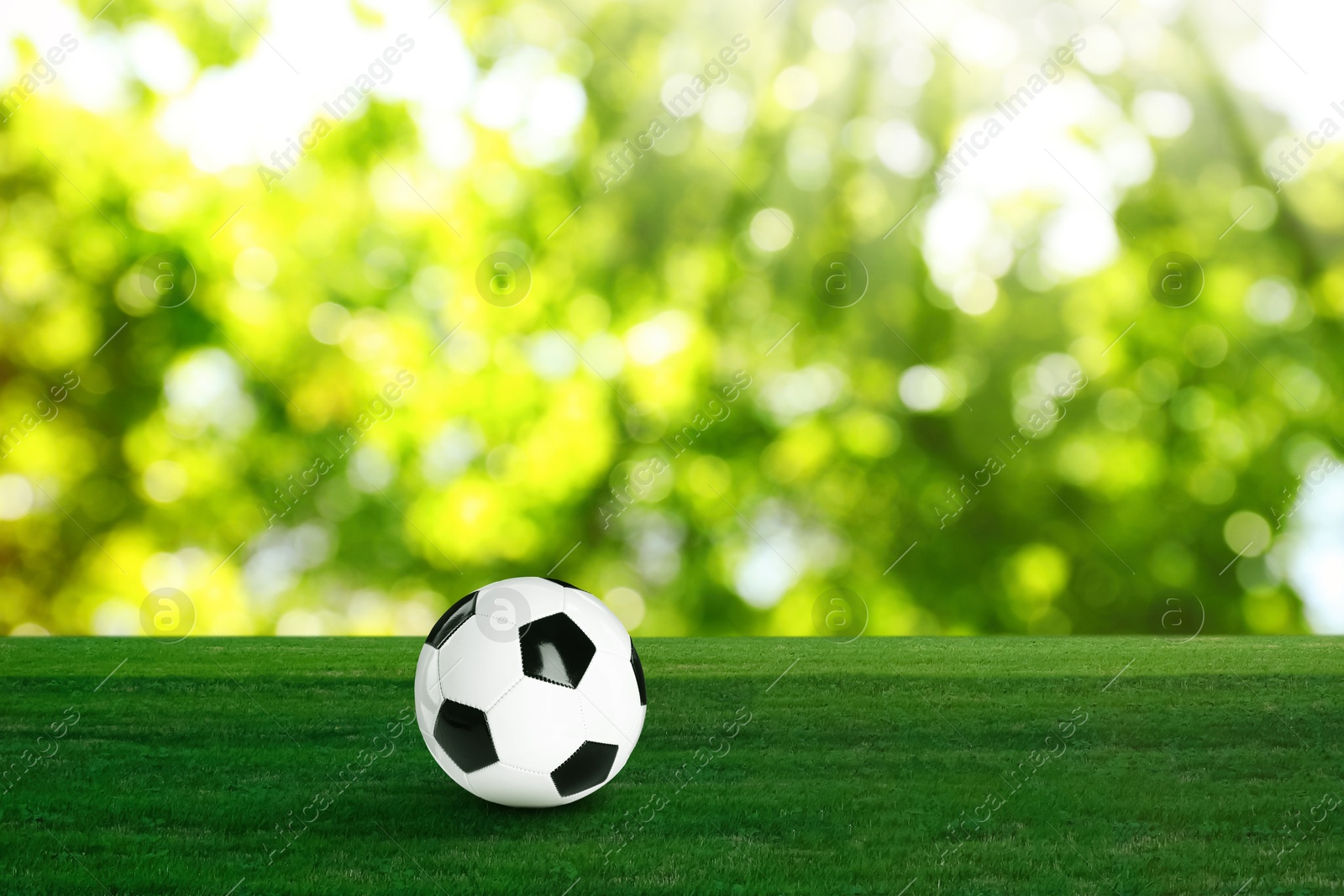 Soccer ball on green grass outdoors, space for text. Football game Image of Soccer ball on green grass outdoors, space for text. Football game