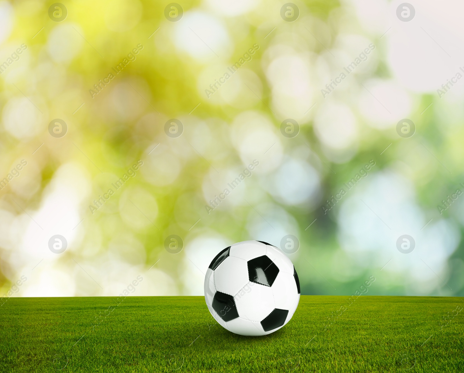 Soccer ball on green grass outdoors. Football game Image of Soccer ball on green grass outdoors. Football game