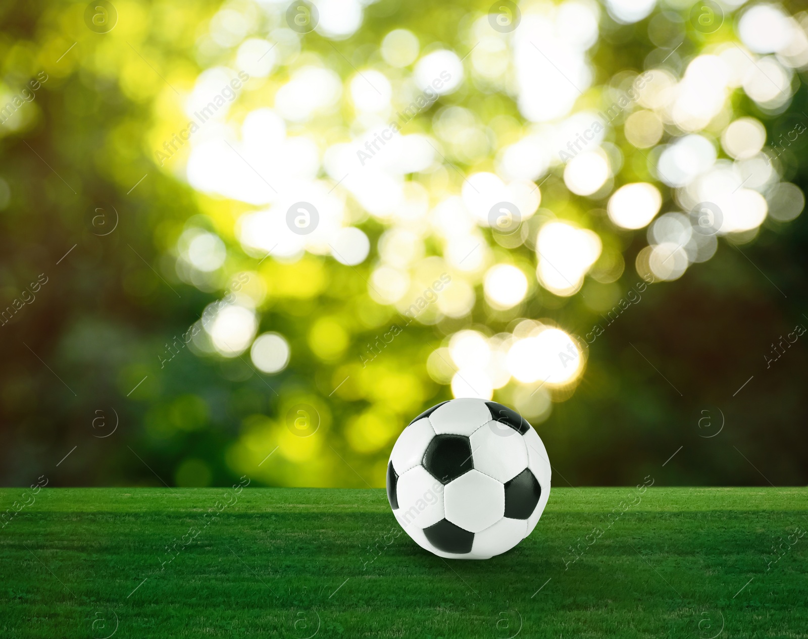 Soccer ball on green grass outdoors. Football game Image of Soccer ball on green grass outdoors. Football game