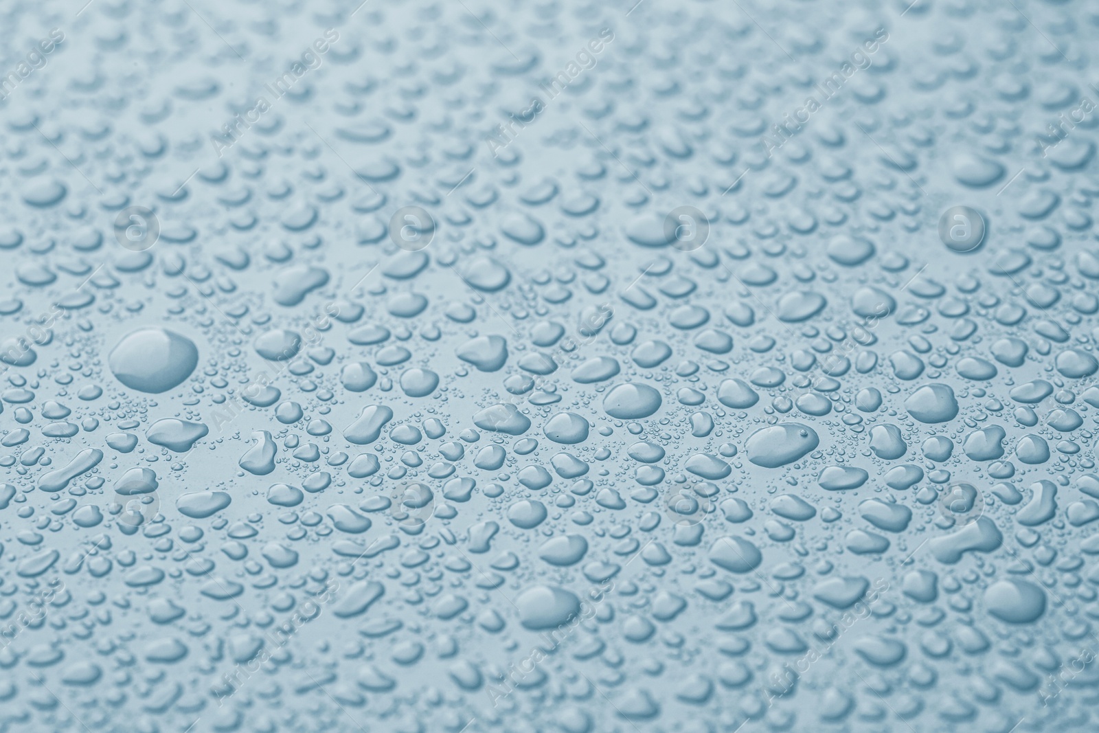 Many water drops on light blue background Image of Many water drops on light blue background