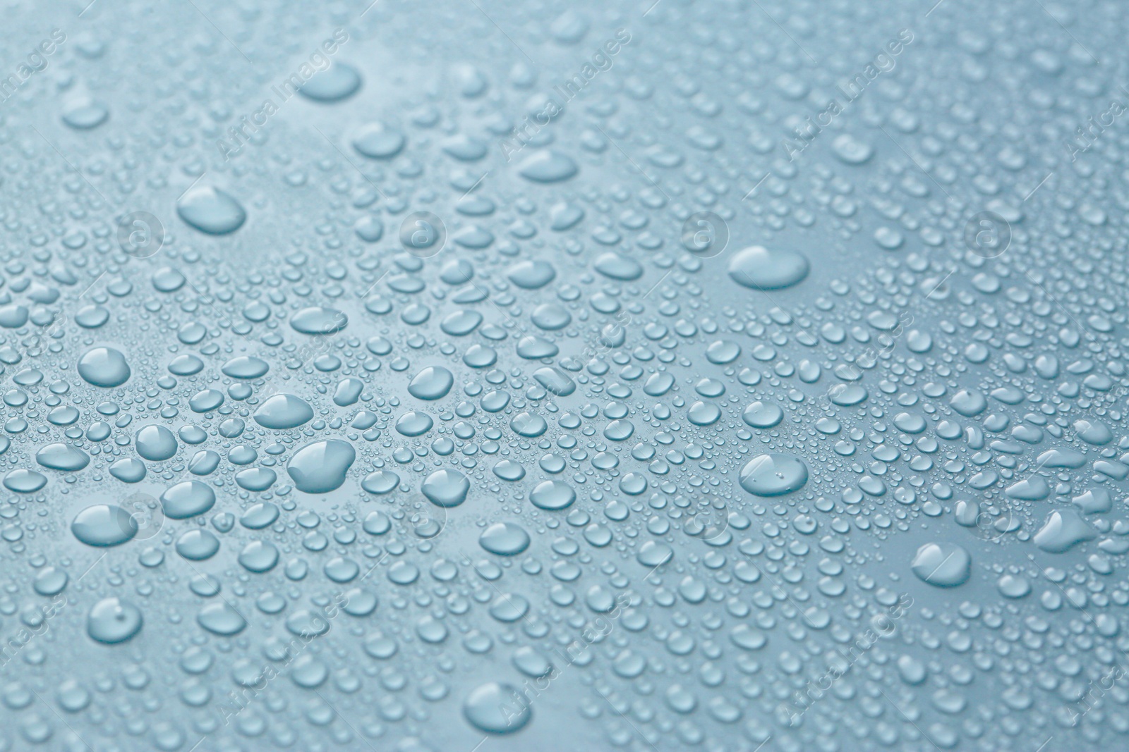 Many water drops on light blue background Image of Many water drops on light blue background