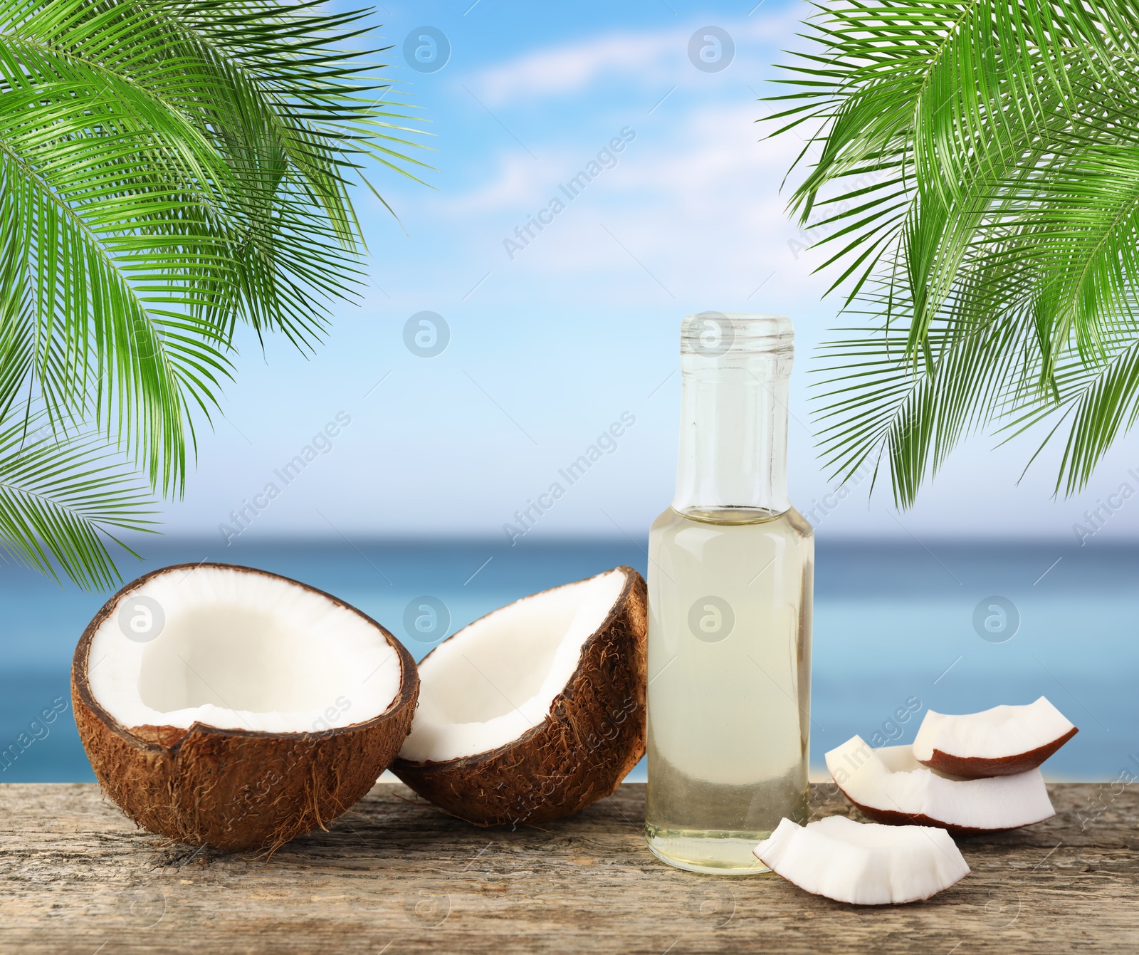 Cooking oil in glass bottle and coconuts on wooden table against sea Image of Cooking oil in glass bottle and coconuts on wooden table against sea