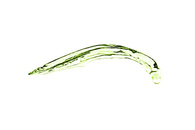 Image of Splash of green water in air on white background
