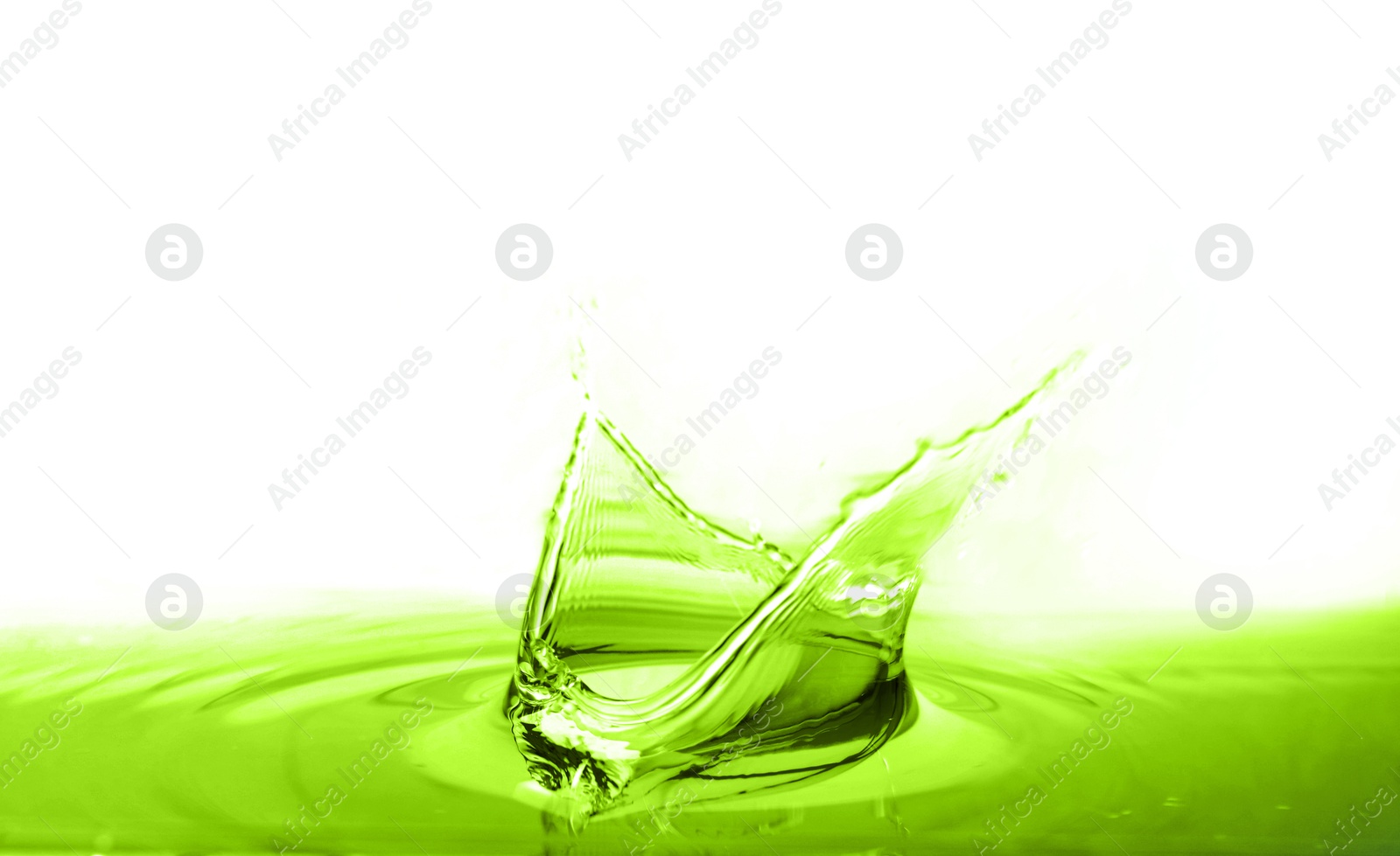 Beautiful green water splashing against white background Image of Beautiful green water splashing against white background