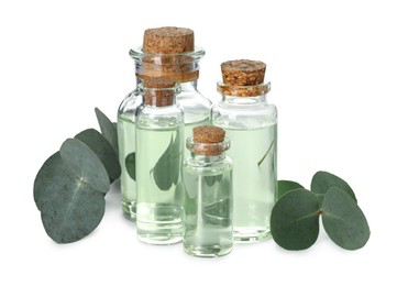 Photo of Bottles of essential oil and eucalyptus leaves isolated on white