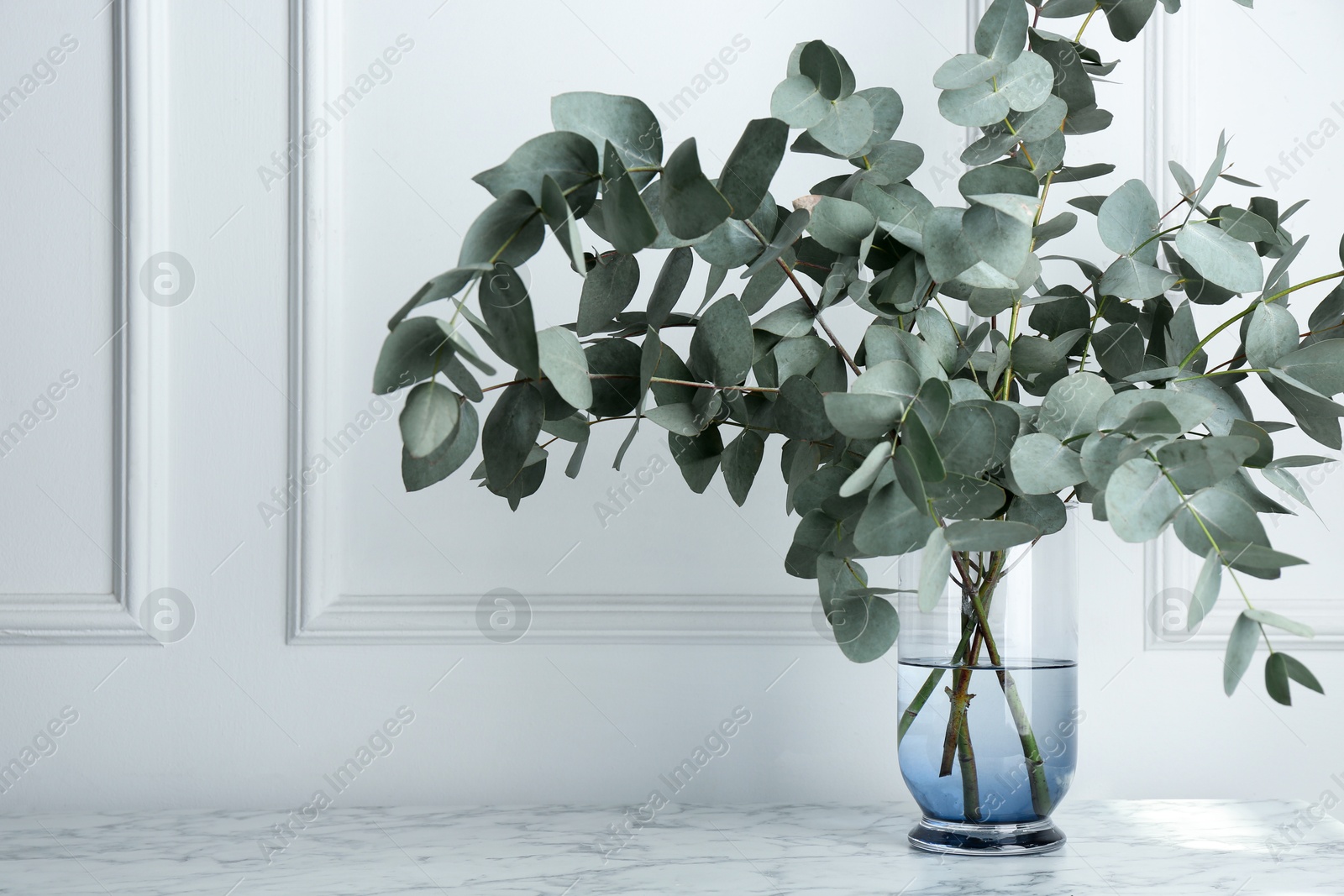 Green eucalyptus branches in vase on marble table near white wall indoors, space for text Photo of Green eucalyptus branches in vase on marble table near white wall indoors, space for text