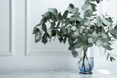 Photo of Green eucalyptus branches in vase on marble table near white wall indoors, space for text