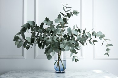 Photo of Green eucalyptus branches in vase on marble table near white wall indoors