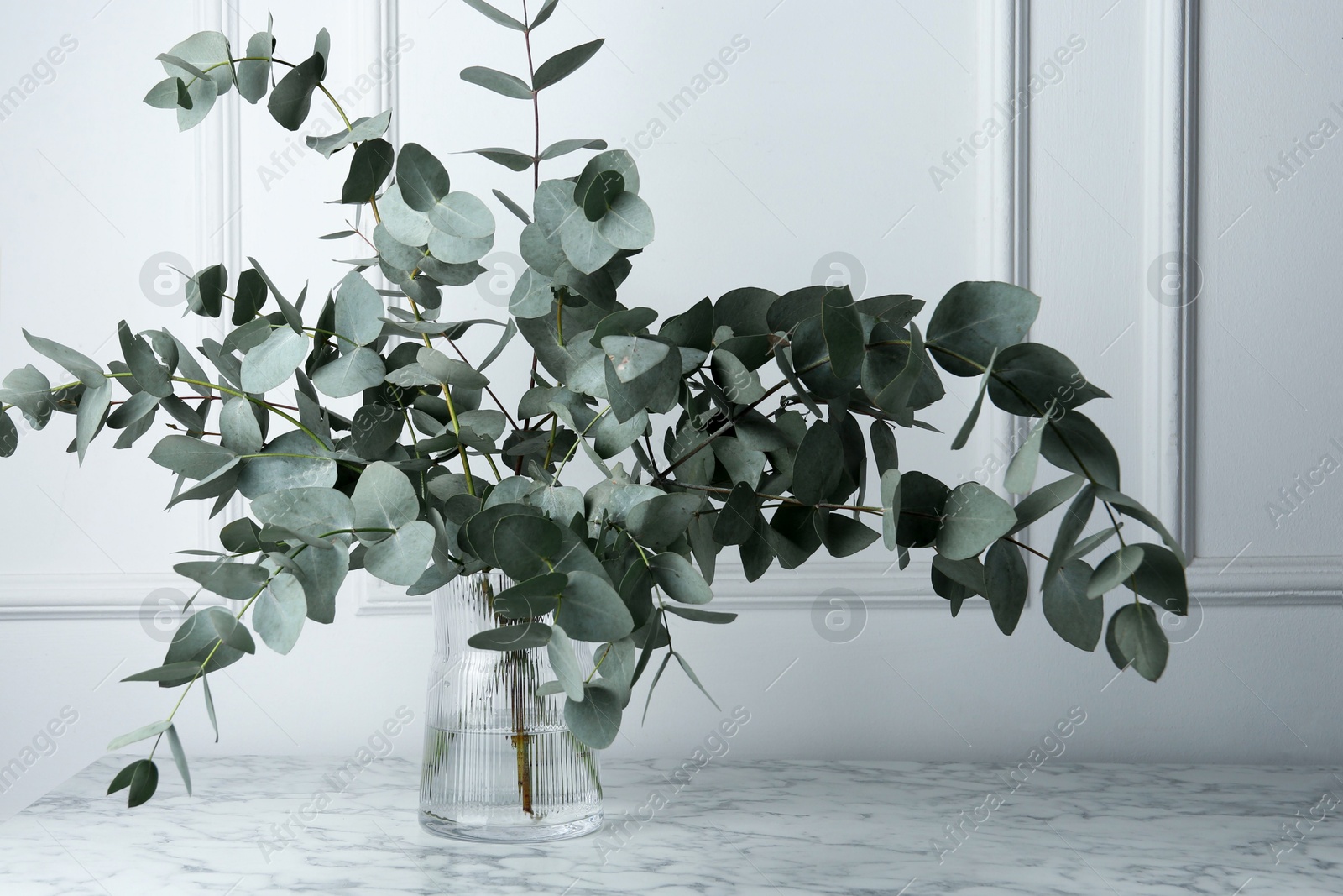 Green eucalyptus branches in vase on marble table near white wall indoors Photo of Green eucalyptus branches in vase on marble table near white wall indoors