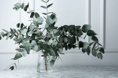 Photo of Green eucalyptus branches in vase on marble table near white wall indoors