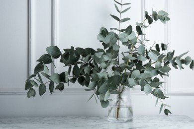 Photo of Green eucalyptus branches in vase on marble table near white wall indoors
