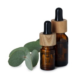 Photo of Bottles of essential oil and eucalyptus leaves isolated on white