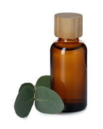 Photo of Bottle of essential oil and eucalyptus leaves isolated on white
