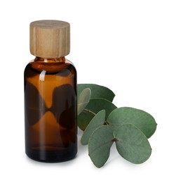 Photo of Bottle of essential oil and eucalyptus leaves isolated on white