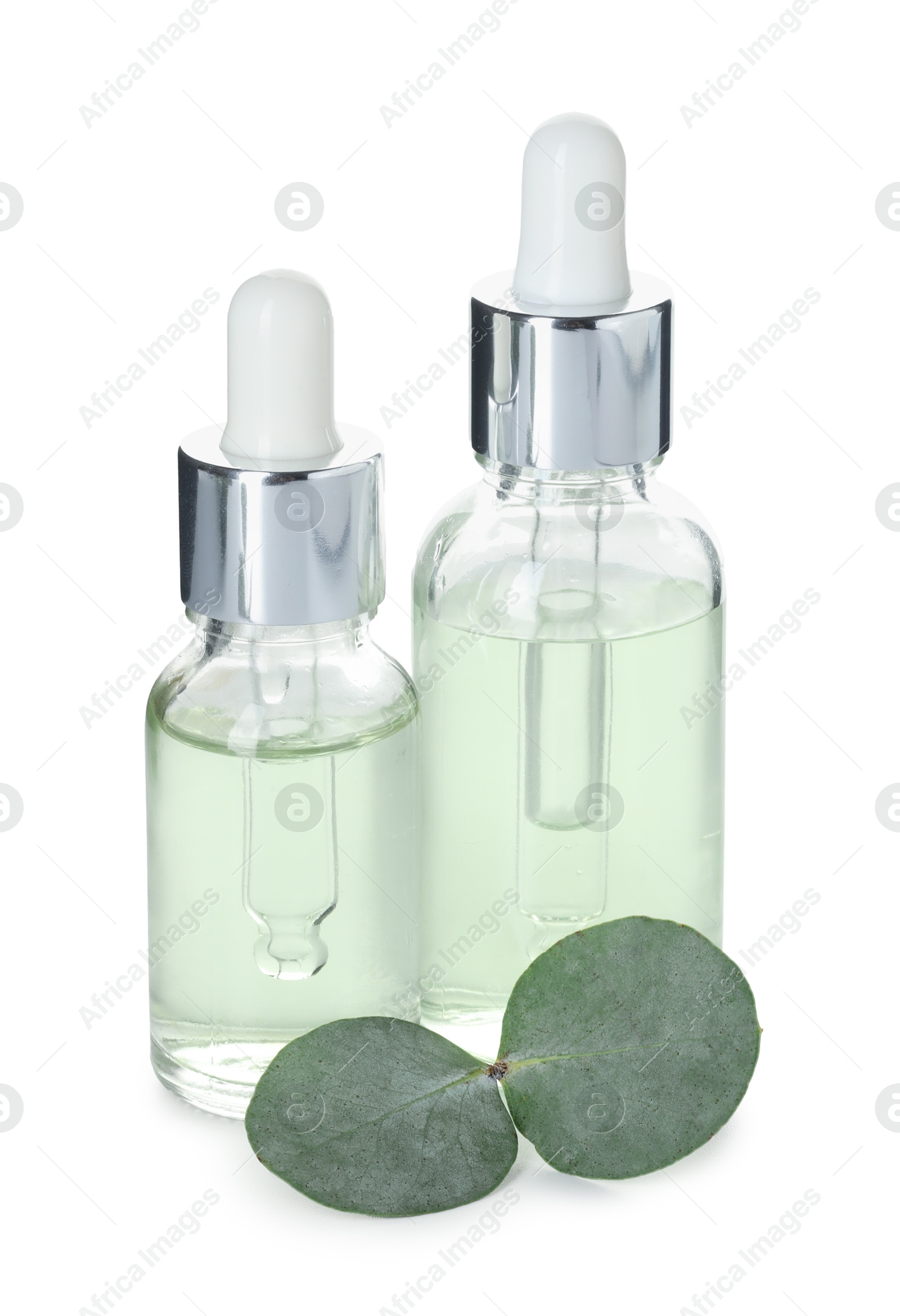 Bottles of essential oil and eucalyptus leaves isolated on white Photo of Bottles of essential oil and eucalyptus leaves isolated on white