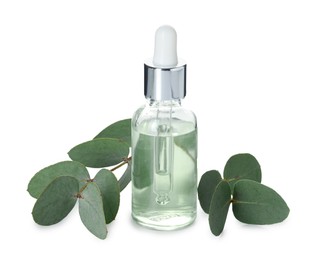 Photo of Bottle of essential oil and eucalyptus leaves isolated on white