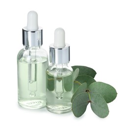 Photo of Bottles of essential oil and eucalyptus leaves isolated on white