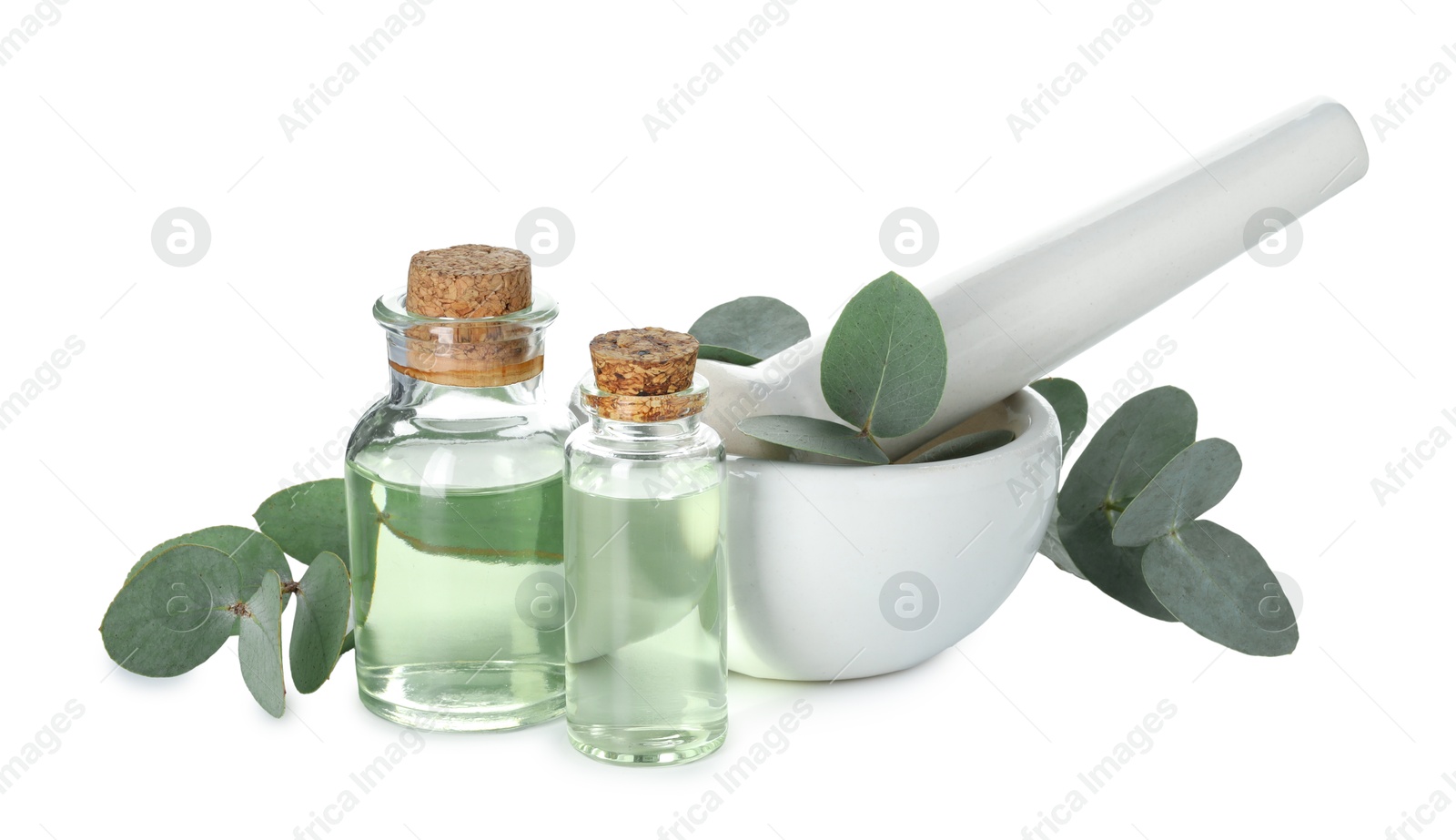 Bottles of essential oil, eucalyptus leaves, mortar and pestle isolated on white Photo of Bottles of essential oil, eucalyptus leaves, mortar and pestle isolated on white