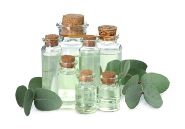 Photo of Bottles of essential oil and eucalyptus leaves isolated on white
