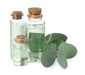 Photo of Bottles of essential oil and eucalyptus leaves isolated on white