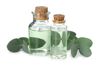 Photo of Bottles of essential oil and eucalyptus leaves isolated on white