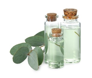 Photo of Bottles of essential oil and eucalyptus leaves isolated on white