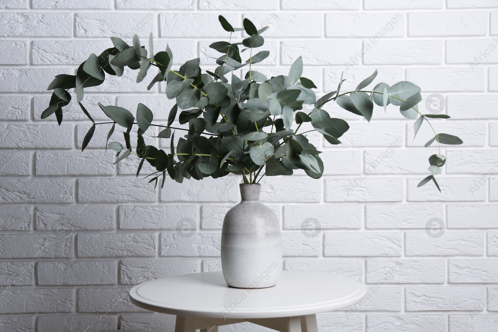 Green eucalyptus branches in vase on table near white brick wall indoors Photo of Green eucalyptus branches in vase on table near white brick wall indoors