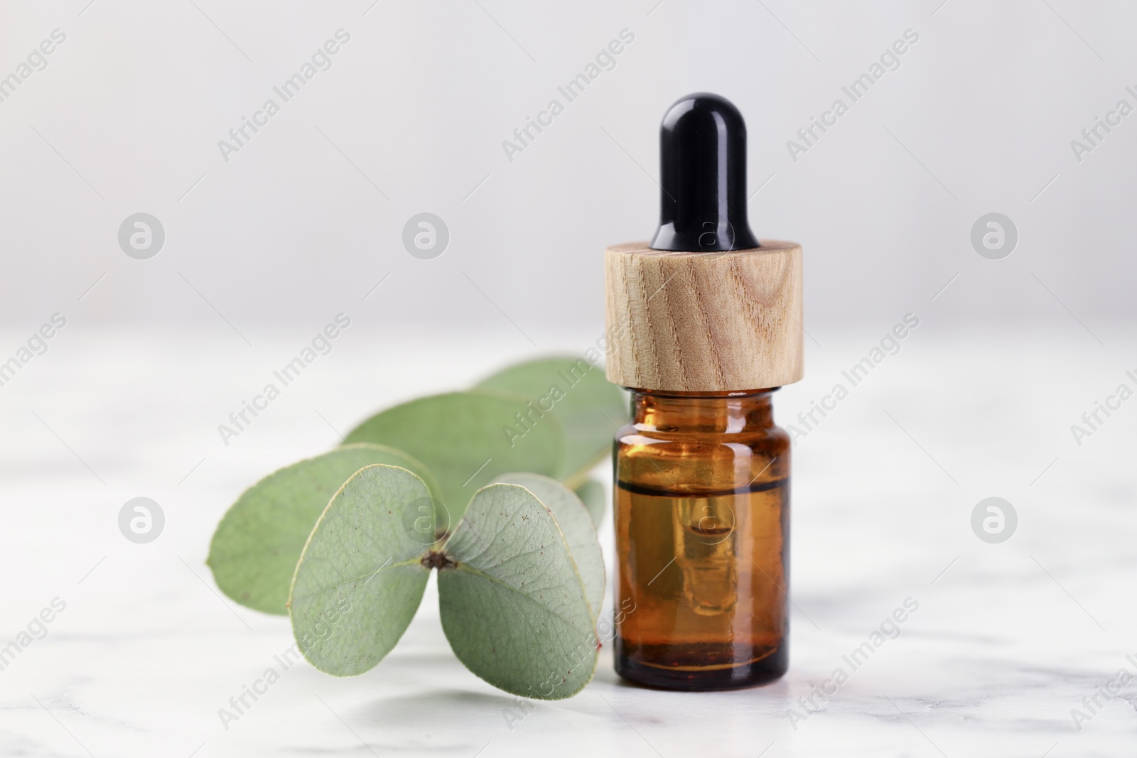 Bottle of essential oil and eucalyptus leaves on white marble table, closeup Photo of Bottle of essential oil and eucalyptus leaves on white marble table, closeup
