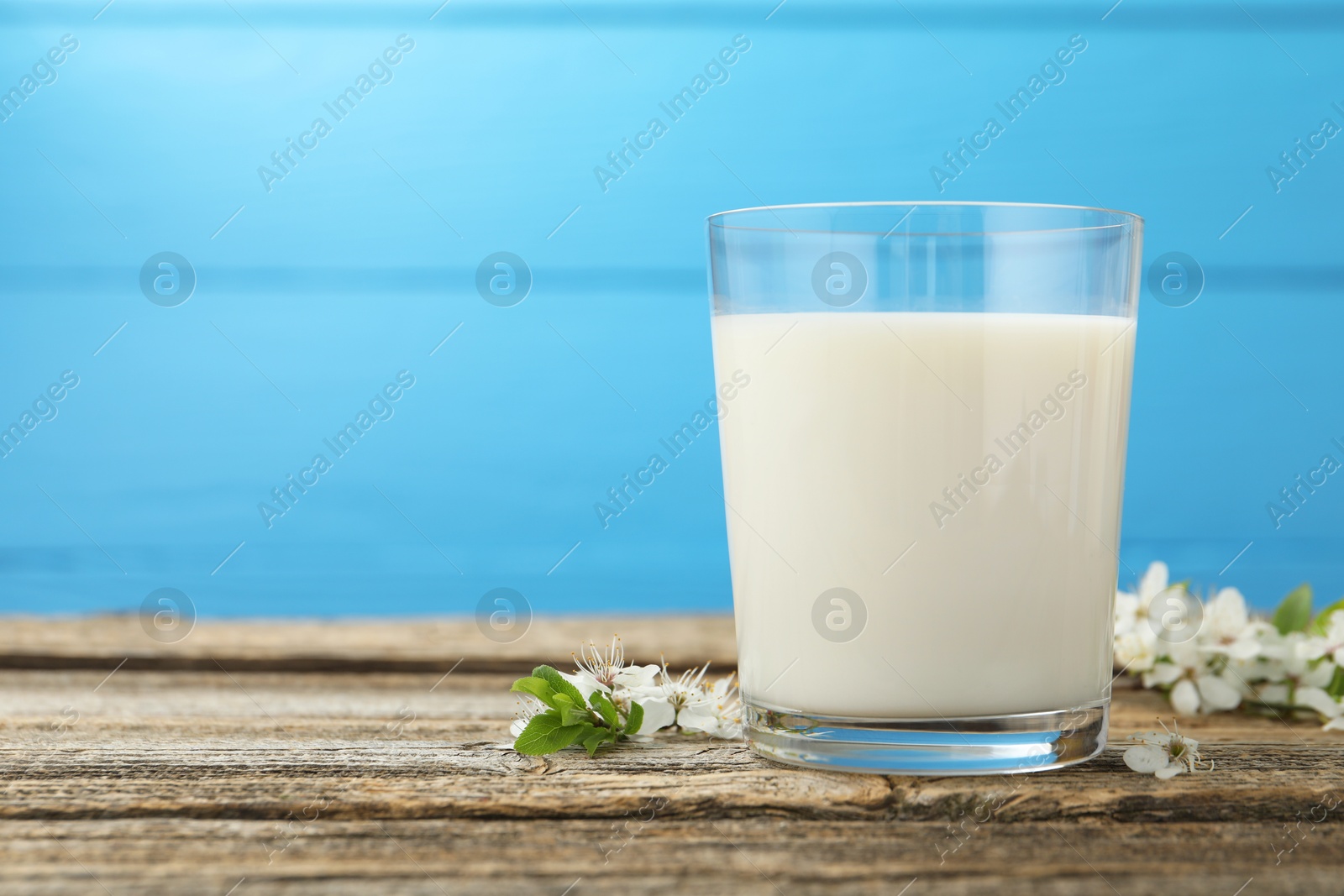 Fresh milk in glass and blossoms on wooden table against light blue background, closeup. Space for text Photo of Fresh milk in glass and blossoms on wooden table against light blue background, closeup. Space for text