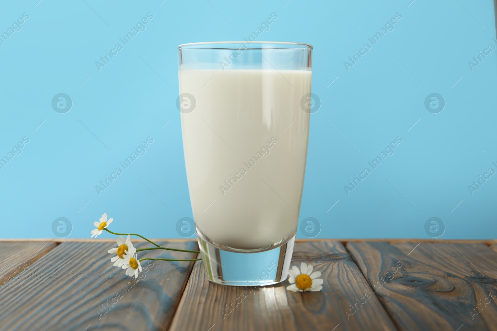 Fresh milk in glass and flowers on wooden table against light blue background, closeup Photo of Fresh milk in glass and flowers on wooden table against light blue background, closeup