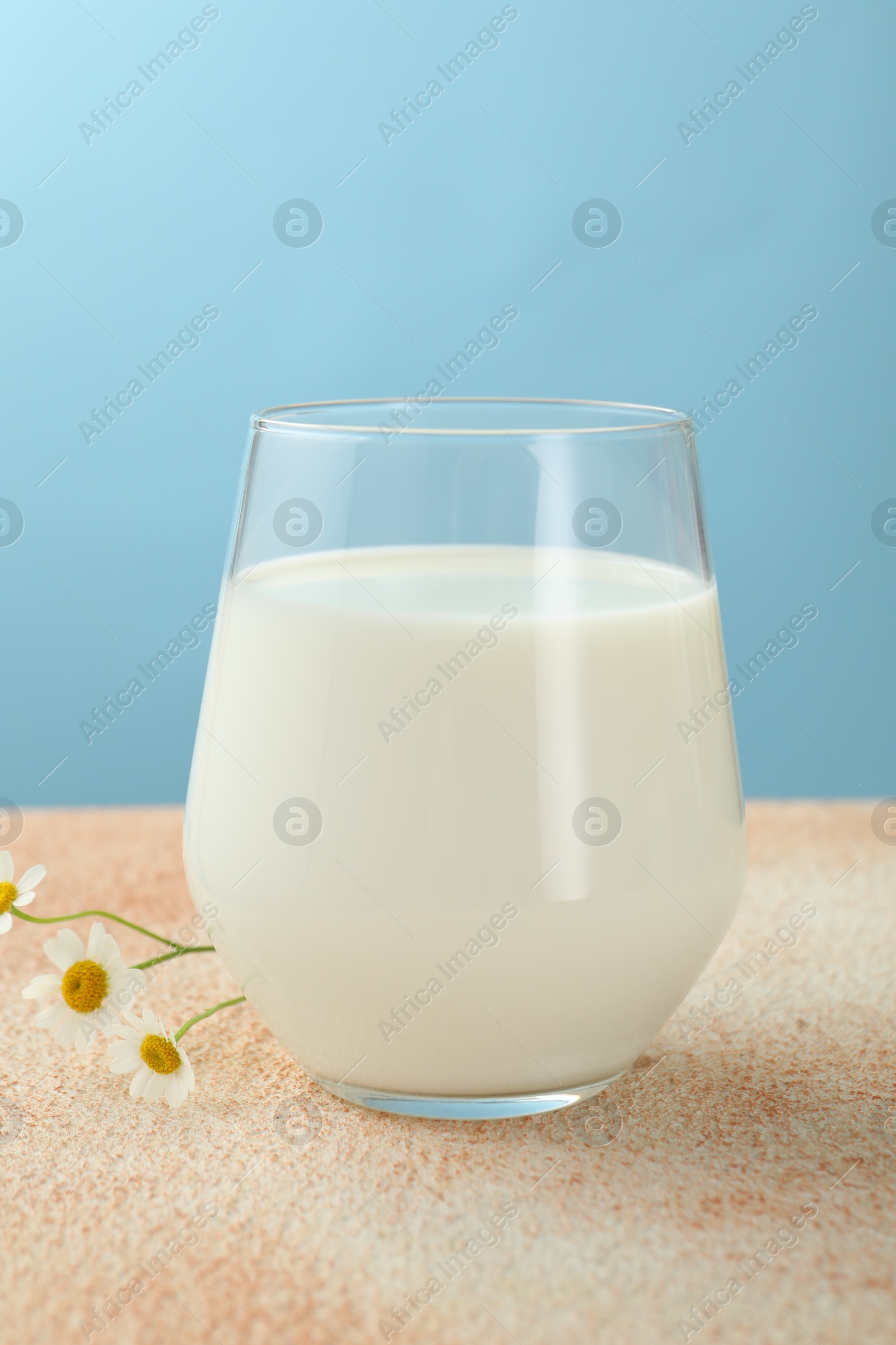 Fresh milk in glass on table against light blue background, closeup Photo of Fresh milk in glass on table against light blue background, closeup