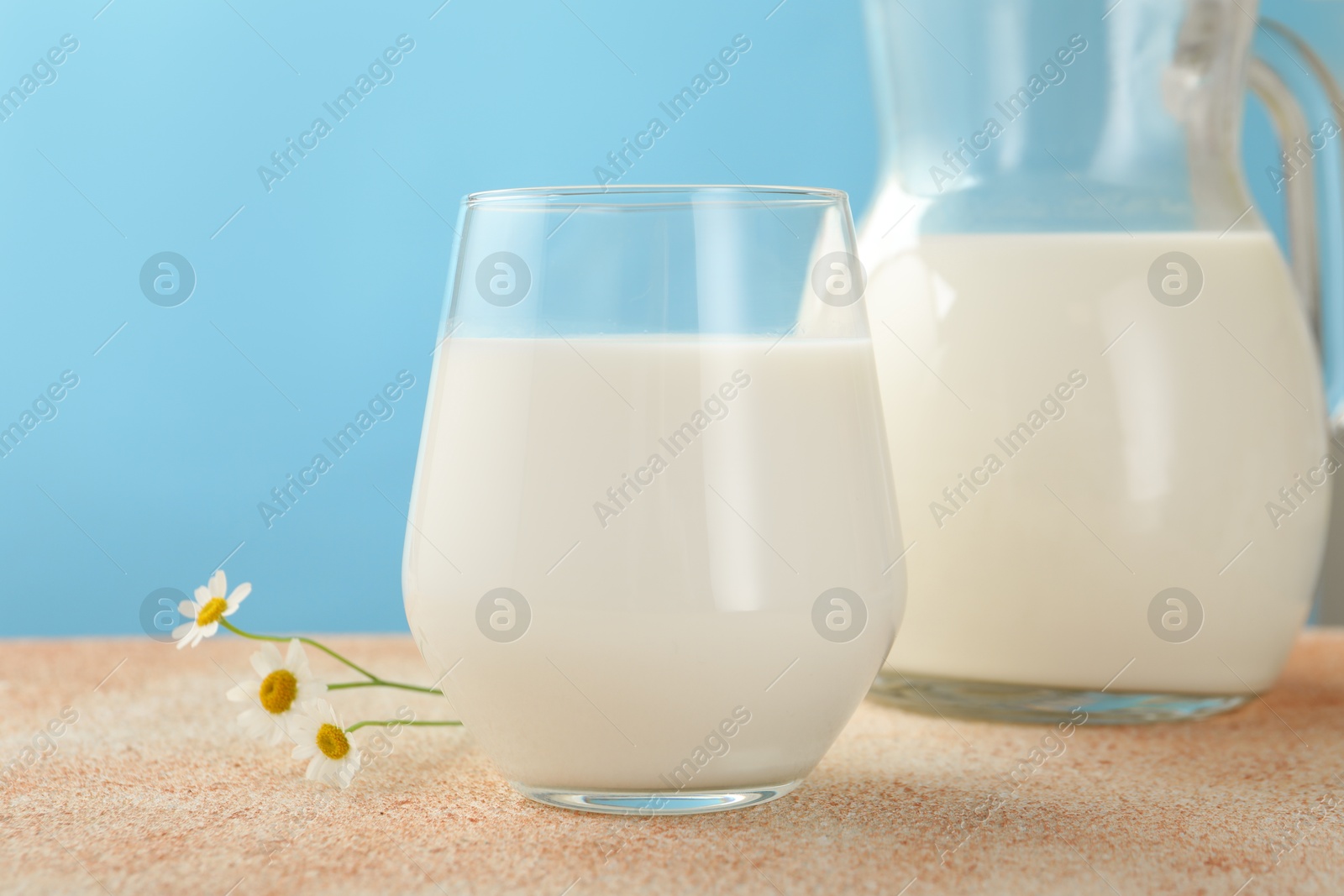 Fresh milk and flowers on table against light blue background, closeup Photo of Fresh milk and flowers on table against light blue background, closeup