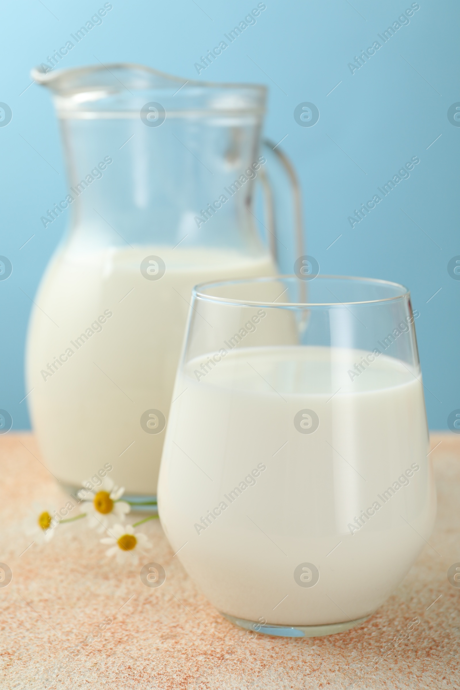 Fresh milk and flowers on table against light blue background, closeup Photo of Fresh milk and flowers on table against light blue background, closeup